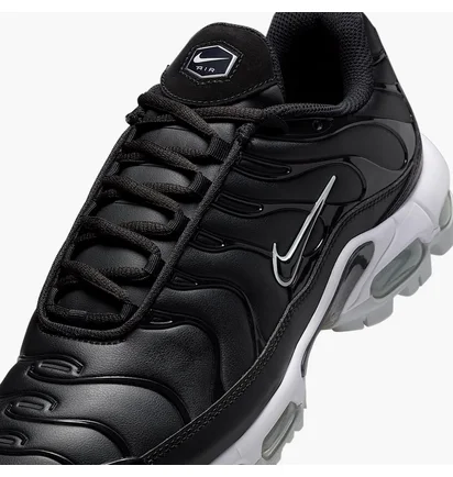 Кроссовки мужские Nike Air Max Plus П Black FZ4150-001