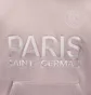 Худи мужское Air Jordan Psg Stmt Beige HV3424-627