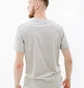 Футболка мужская Helly Hansen Nord Graphic Hh T-Shirt Grey 62979-949
