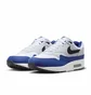 Кросівки чоловічі Nike Air Max 1 Deep White/Blue FD9082-100