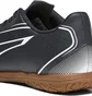 Футзалки мужские Puma Vitoria It Black 107485-01