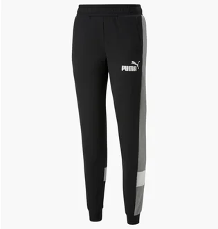 Штаны мужские Puma Essentials+ Colorblock Black 670169-01