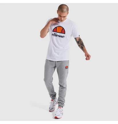 Футболка мужская Ellesse Dyne Tee White SXG12736-908