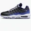 Кросівки чоловічі Nike Air Max 95 Black DM0011-006