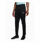 Штаны мужские Nike Fj3017010 Black FJ3017-010