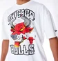 Футболка чоловіча NEW ERA Graphic Bulls White 60565031