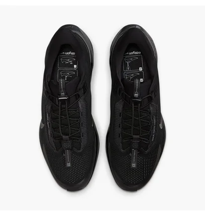 Кроссовки мужские Nike Pegasus Easyon Black FQ7837-001