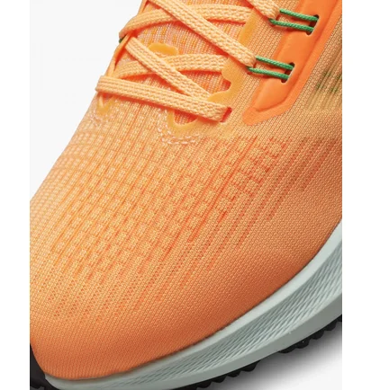 Кросівки жіночі Nike Air Zoom Pegasus 39 Orange Dh4072-800