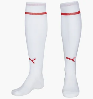 Гетры унисекс Puma V5.08 White 700478-12