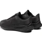 Кроссовки мужские Nike Winflo 8 Black CW3419-002