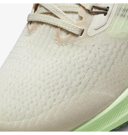 Кроссовки женские Nike Air Zoom Pegasus 39 Beige DH4072-101