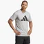 Футболка чоловіча Adidas Train Essentials Feelready Logo Training Tee Grey Ib8276