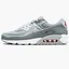 Кроссовки мужские Nike Air Max 90 Grey DM9102-001