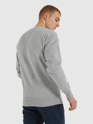 Свитшот унисекс Ellesse Sl Succiso Sweatshirt Grey SHC07930-112