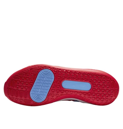 Кросівки унісекс Nike Kd 13 Hardwood Classics Blue DC0009-400