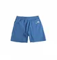 Шорты мужские Polo Ralph Lauren Traveler Polo Bear Swimming Trunk Blue 710936080001