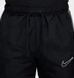 Штаны мужские Nike Academy Track Pants Black FZ0496-010