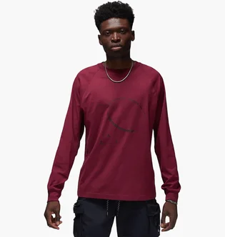 Лонгслів чоловічий Air Jordan Engineered Bordo DV1463-680