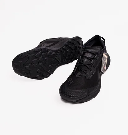 Кроссовки мужские Nike Pegasus Trail 3 Gtx Black DC8793-001