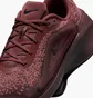 Кросівки жіночі Nike W Versair Brown DZ3547-200