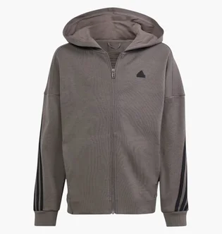 Толстовка детская Adidas Future Icons 3-Stripes Grey IS4424