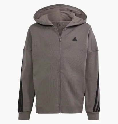 Толстовка детская Adidas Future Icons 3-Stripes Grey IS4424