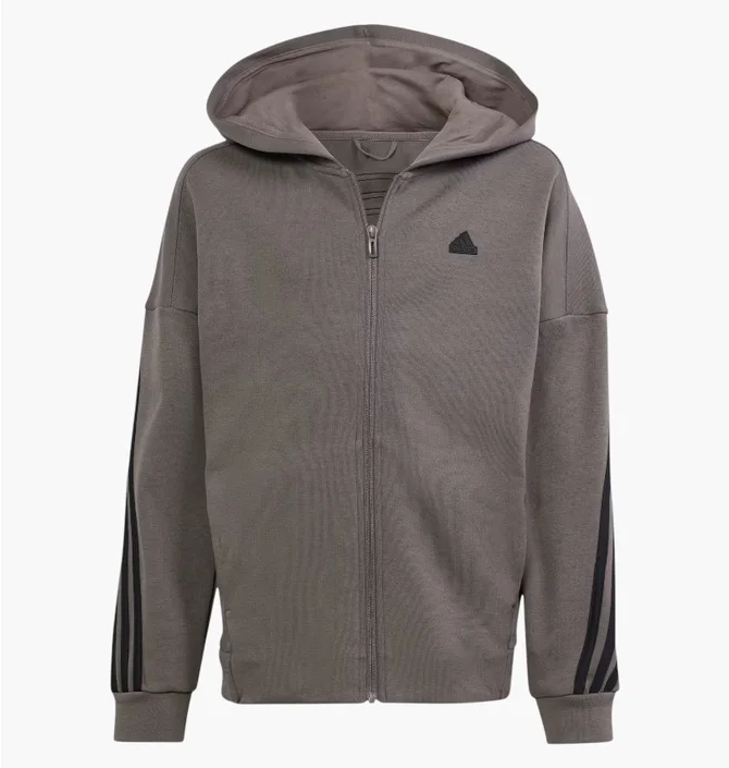 Толстовка детская Adidas Future Icons 3-Stripes Grey IS4424