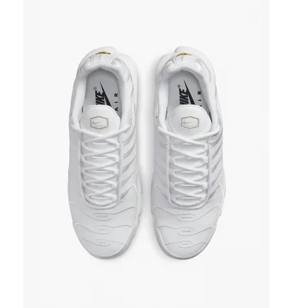 Кроссовки мужские Nike Air Max Plus White Aj2029-100