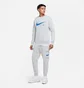 Штани чоловічі Nike Sportswear Pants Grey DD9696-077