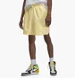 Шорты мужские Air Jordan Essentials Yellow Dm1371-821