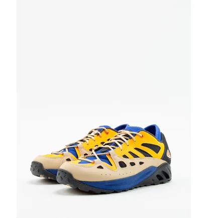 Кроссовки мужские Nike Acg Air Exploraid Hyper Royal Multi FJ1920-400