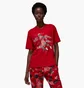 Футболка жіноча Air Jordan T-Shirt Artist Series By Parker Duncan Red DX0420-687