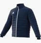 Пуховик чоловічий Adidas Jacket Ent22 Ljkt Blue IB6071