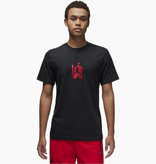 Футболка чоловіча Air Jordan Brand Graphic T-Shirt Black FD7025-010
