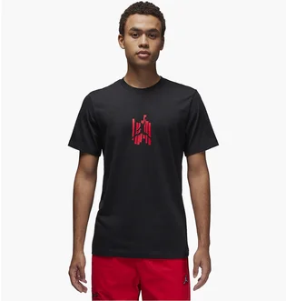 Футболка чоловіча Air Jordan Brand Graphic T-Shirt Black FD7025-010