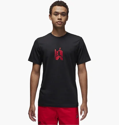 Футболка мужская Air Jordan Brand Graphic T-Shirt Black FD7025-010