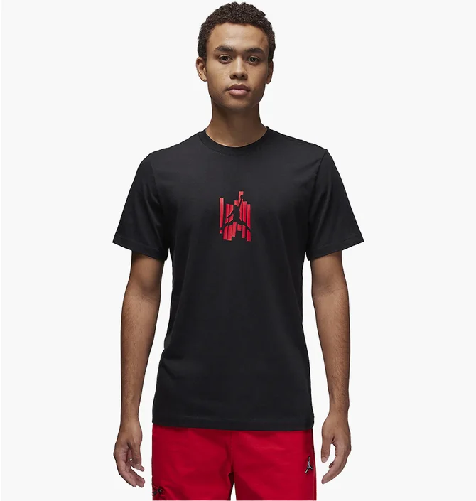 Футболка мужская Air Jordan Brand Graphic T-Shirt Black FD7025-010