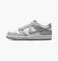 Кросівки дитячі Nike Dunk Low (Gs) White/Grey FB9109-123