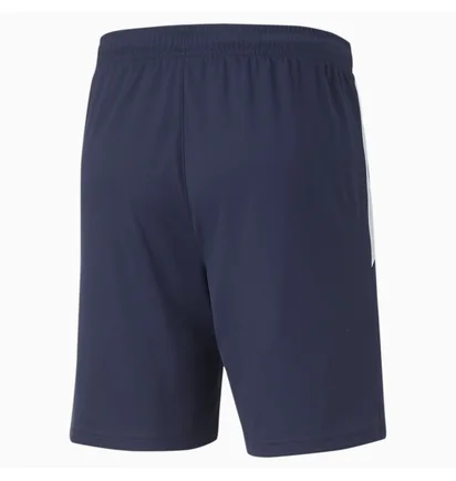 Шорты мужские Puma Teamliga Training Shorts Blue 657249-06