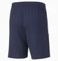 Шорты мужские Puma Teamliga Training Shorts Blue 657249-06