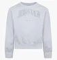 Світшот дитячий Air Jordan Dj 1St Crew Grey 45D528-G7H