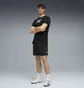 Шорты мужские Puma Ess Logo Lab Black 692033-01