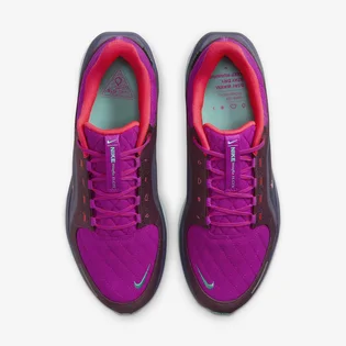Кросівки чоловічі Nike Air Winflo 11 Gtx Se Pink HM8873-500