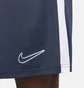 Шорты мужские Nike Global Football Dri-Fit Academy Blue DV9742-451
