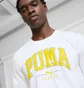 Футболка мужская Puma Squad Big Logo Tee White 684386-02