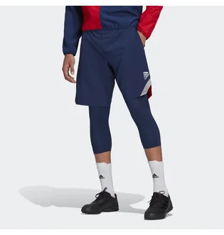 Шорти чоловічі Adidas Tan Blue FS5056