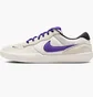 Кроссовки мужские Nike Sb Force 58 Beige DV5477-006