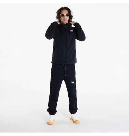 Толстовка мужская The North Face Homesafe Fz Fl Hoodie Black NF0A855JKX7