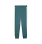 Штаны мужские Puma Ess T7 Poly Turquoise 692463-41