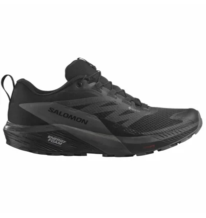Кросівки чоловічі Salomon Sense Ride 5 Gtx Black 471472